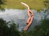 100-0001_IMG.jpg