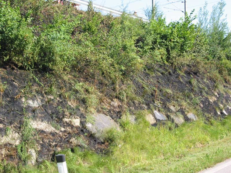 100-0019_IMG.jpg