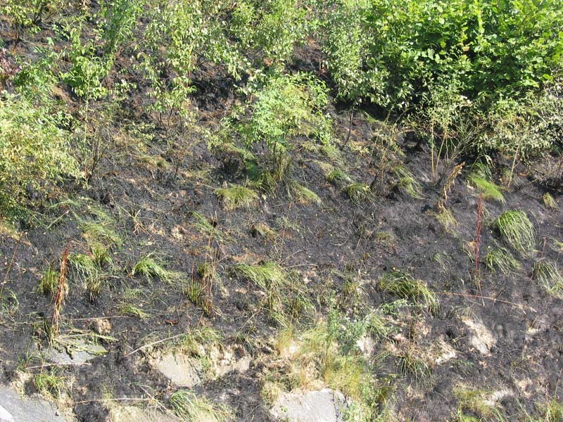 100-0020_IMG.jpg