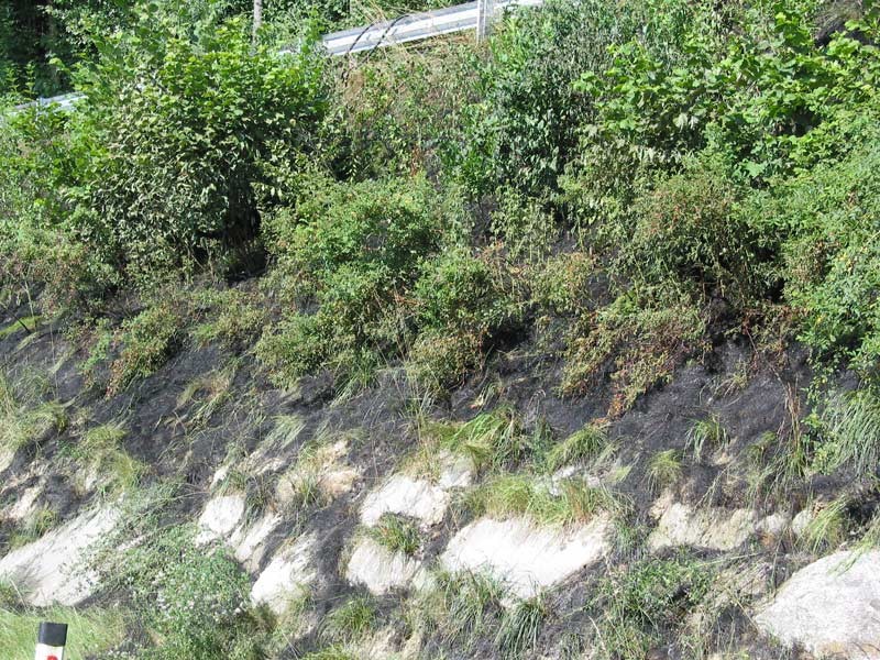 100-0021_IMG.jpg