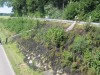 100-0016_IMG.jpg
