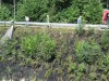 100-0018_IMG.jpg