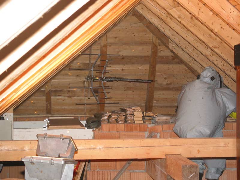 100-0009_IMG.jpg