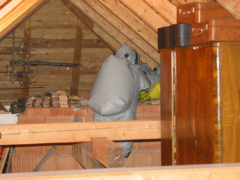 100-0010_IMG.jpg