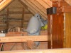 100-0010_IMG.jpg
