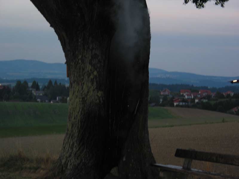 100-0039_IMG.jpg