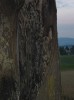 100-0036_IMG.jpg