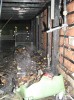 100-0087_IMG.jpg