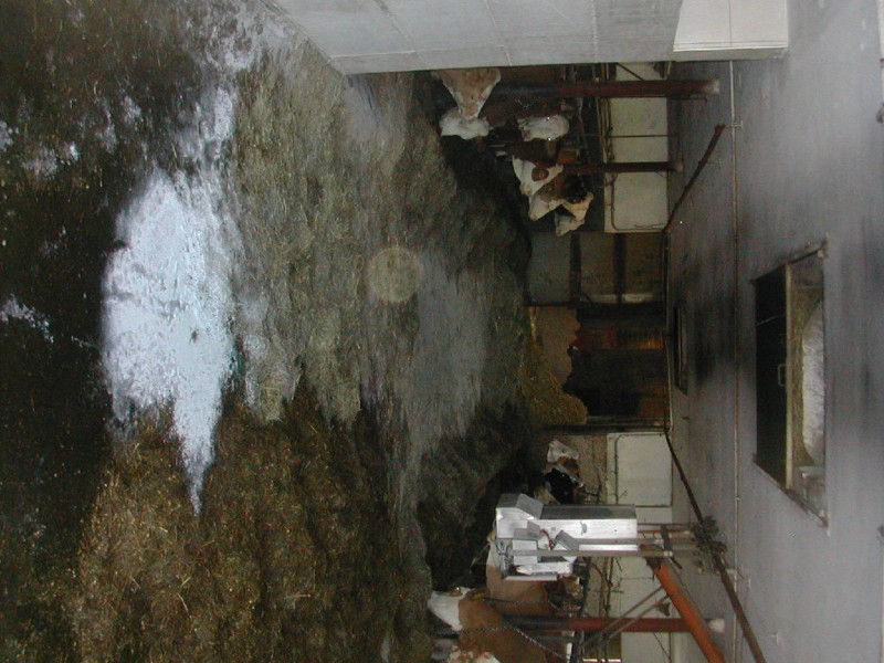 100NIKON-DSCN5963.jpg
