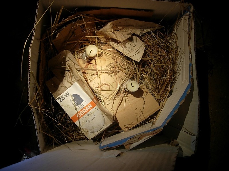 DSCN0632.JPG