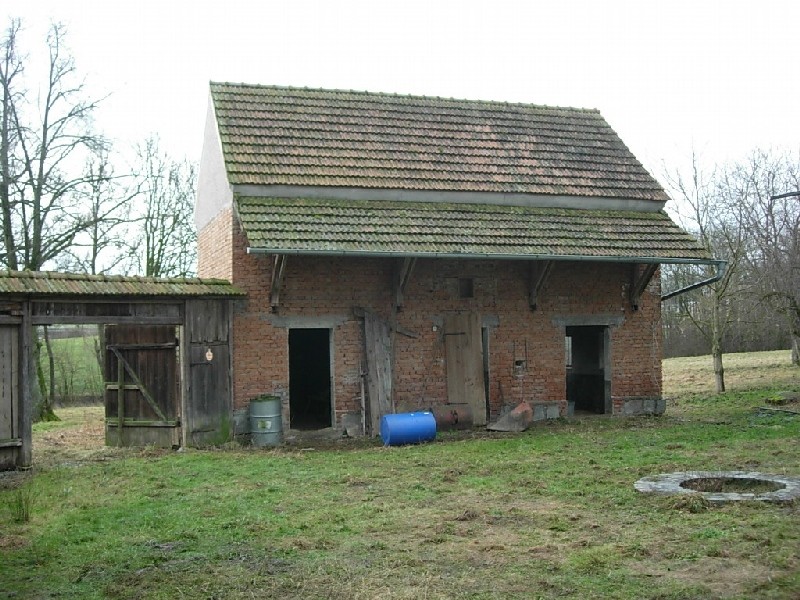 DSCN0666.JPG