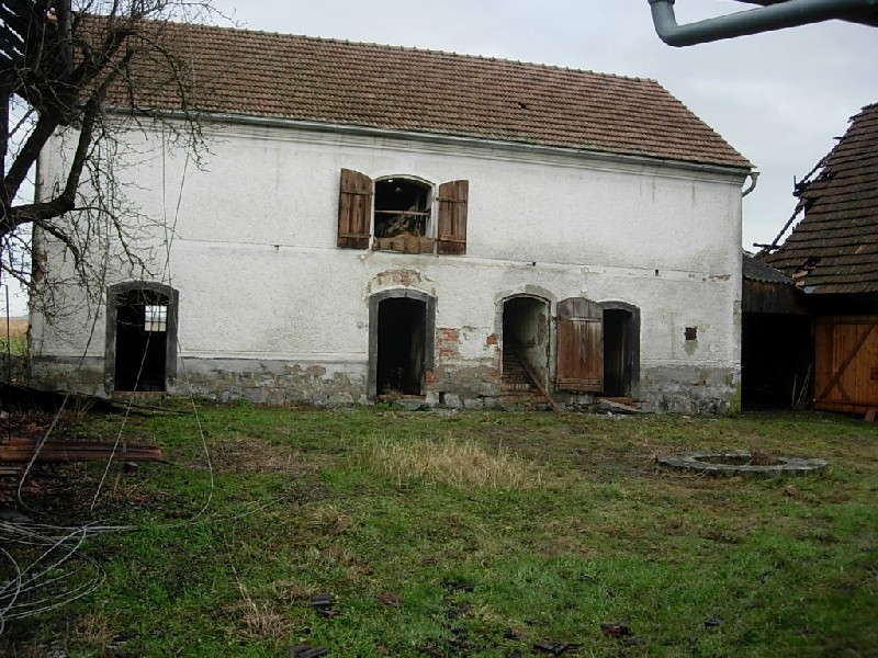 DSCN0667.JPG