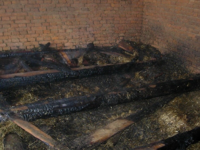 DSCN0674.JPG