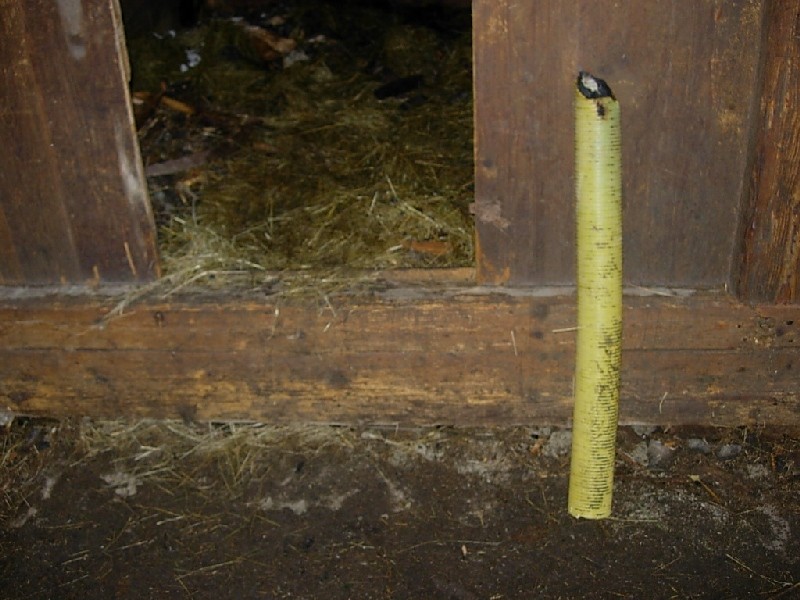 DSCN0704.JPG