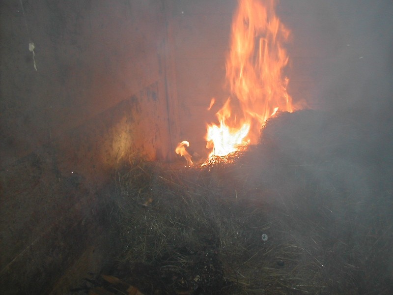 DSCN6487.JPG