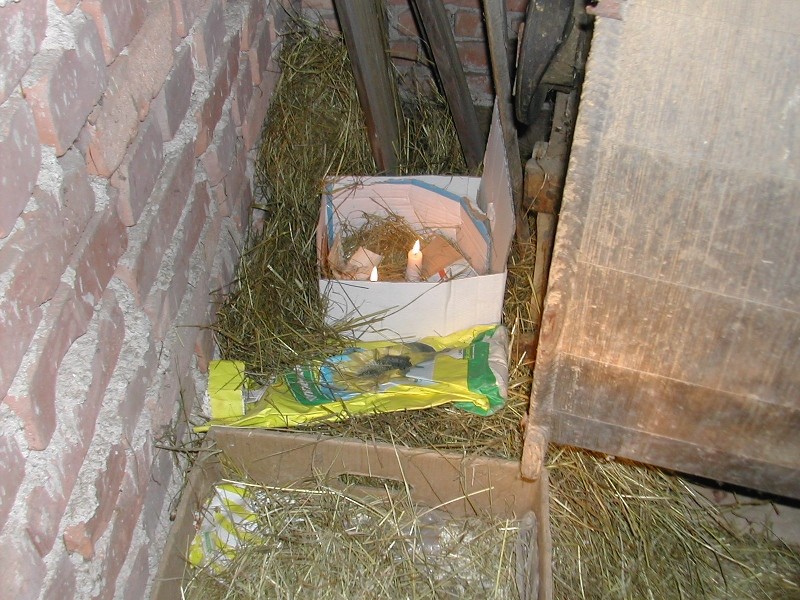 DSCN6494.JPG