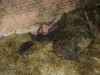 DSCN0678.JPG