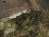 DSCN0679.JPG