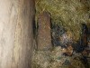 DSCN0695.JPG