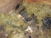 DSCN0696.JPG
