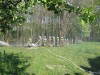 IMG_1470.JPG