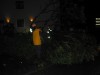 IMG_1534.JPG