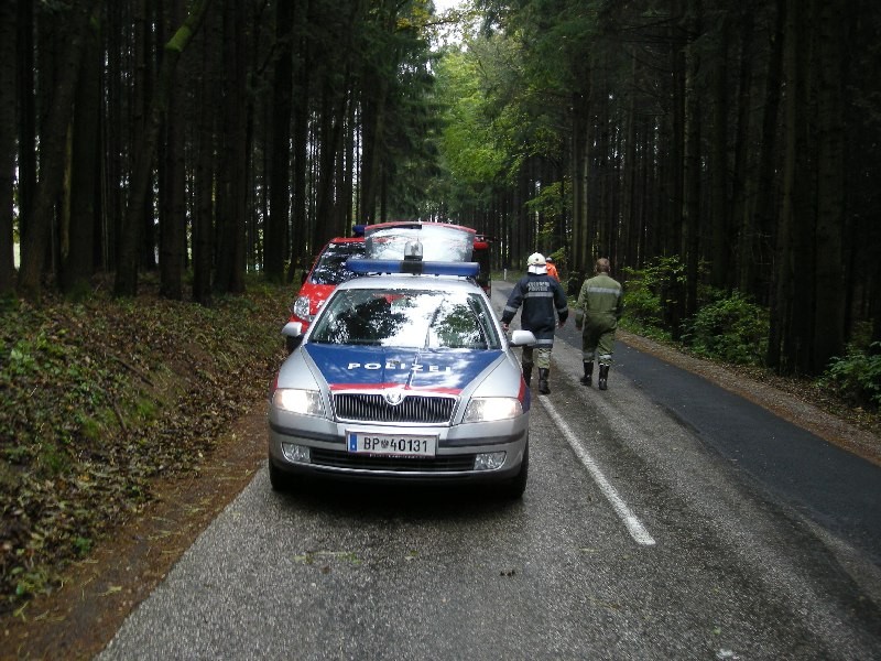 DSCN0818.JPG