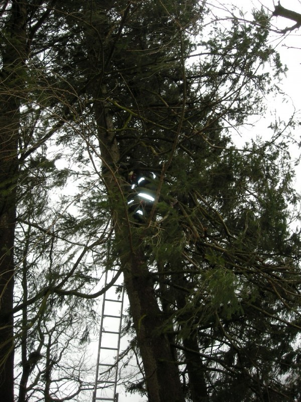 DSCN1086.JPG
