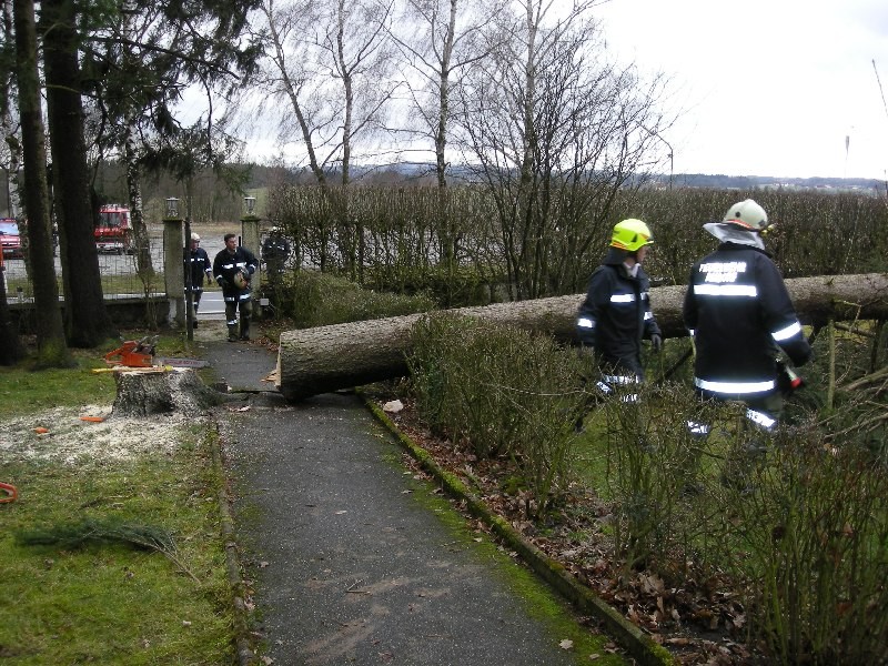 DSCN1093.JPG
