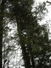 DSCN1086.JPG