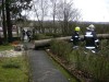 DSCN1093.JPG