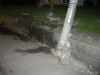DSCN1593.JPG