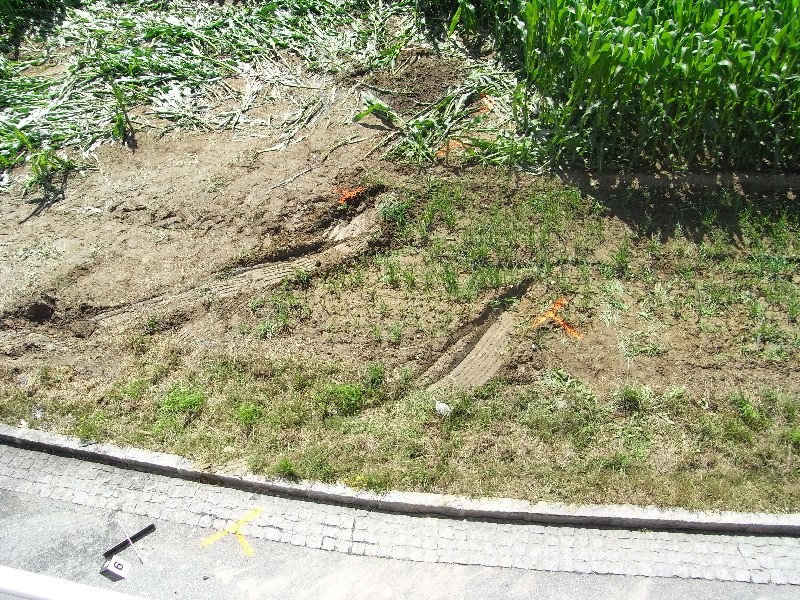 RIMG0054.JPG
