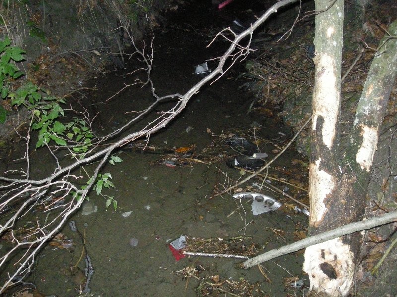 DSCN2300.JPG