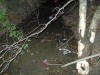 DSCN2300.JPG