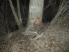 DSCN2344.JPG