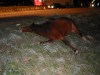 IMG_3216.JPG