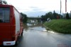 DSC00530.JPG