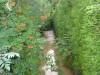 IMG_3598.JPG