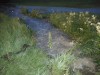 DSCN2629.JPG