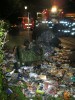 DSCN2783.JPG