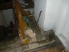 DSCN3131.jpg