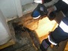 DSCN3151.jpg