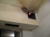 DSCN3152.jpg