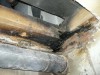 DSCN3153.jpg