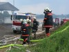 IMG_4452.JPG
