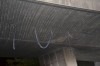 DSC_1106.JPG