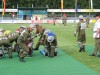 IMG_0558.jpg