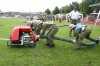IMG_8684.jpg